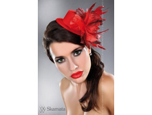 12*028-1 - 223 ���.