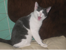 ������. ���������� ������. 6 ���.