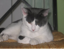 ������. 2009, ��� 6 ���.