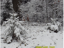 31.10.2009 22:17:43