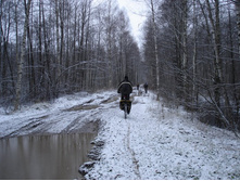 ��� �ӣ ��� �������� �� �����������