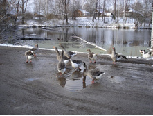 ������������ ��� ����!