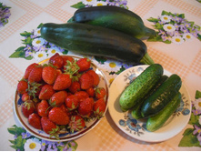 ������ �������� ����