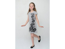 258(�����)