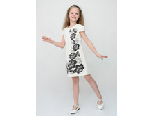 258(��������)