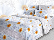 3238-1-2, ������ �������.jpg