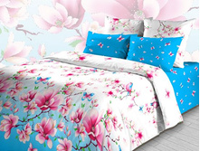 3595-1-2 ��������� ������.jpg