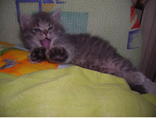 ��������� �������...