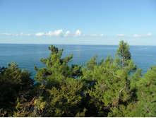 ������� 2012.09.11 09.26.53.JPG