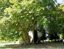 ������� 2012.09.13 14.07.55.JPG