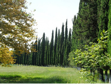 ������� 2012.09.13 14.09.16.JPG