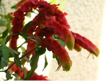 ����������. 10/10 180���.