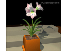 �����������. 35/13 - 215���.