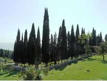 ������� 2012.09.15 14.30.50.JPG