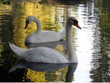 ������� 2012.09.17 17.48.21.JPG