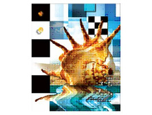 ���. c00**28575, �� �������� ��� � ��������, 240���.