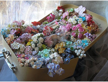 ������� ������.JPG