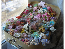 ������� ������_.JPG