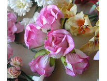 ������ ����� ����