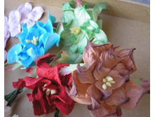 ��������