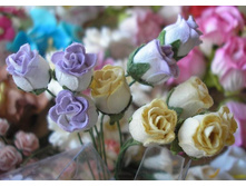 ������������� ������ ���.JPG