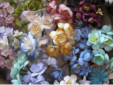 ����� �����.JPG