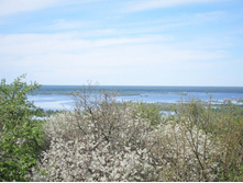 ���� ��������.jpg