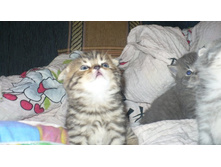 30.11.2010 22:46:50