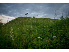 20120616-DSC05177.jpg