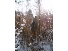 ��� ��� ��� �����-�� � ������?