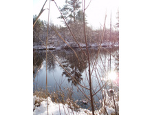 ��� ���, �����. ������ ����� � ����