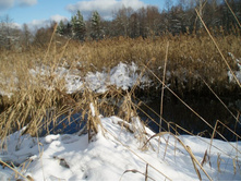 ������ ����� � ����. ����� ��� ������� ���.