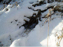 ���� � ������������ ������� � ���..