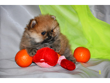 1 382 (�����).jpg