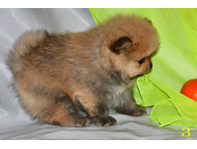 1 193 (�����).jpg