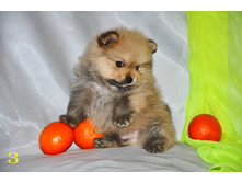 1 218 (�����).jpg