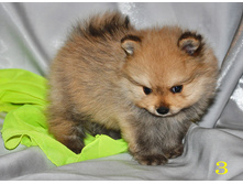 1 222 (�����).jpg