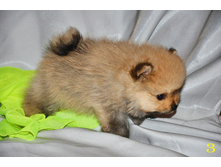 1 248 (�����).jpg