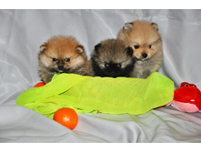 1 257 (�����) 2.jpg