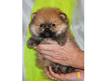 1 289 (�����).jpg