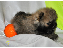 1 319 (�����).jpg