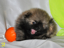 1 325 (�����).jpg