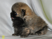 1 338 (�����).jpg