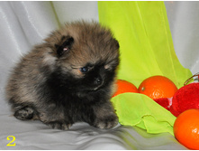 1 340 (�����).jpg