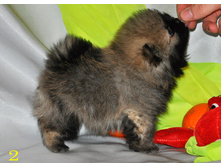 1 358 (�����).jpg