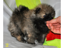 1 362 (�����).jpg