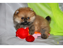 1 379 (�����).jpg