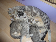 ���� 150.jpg