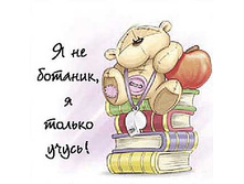 � �� �������, � ������ �����.jpg