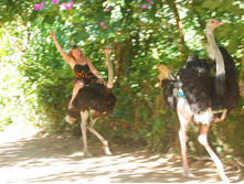 ������� �� �������